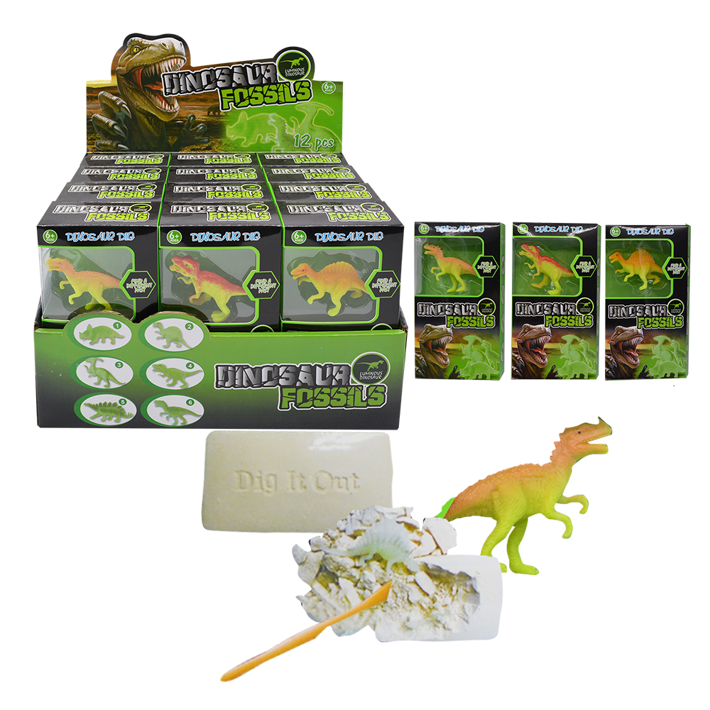 12pcs Dinosaur Fossils in Display Box