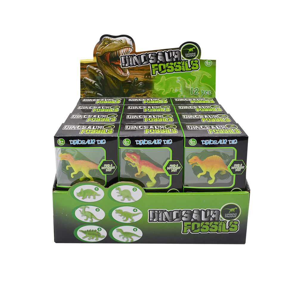 12pcs Dinosaur Fossils in Display Box