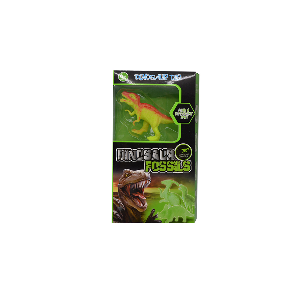 12pcs Dinosaur Fossils in Display Box