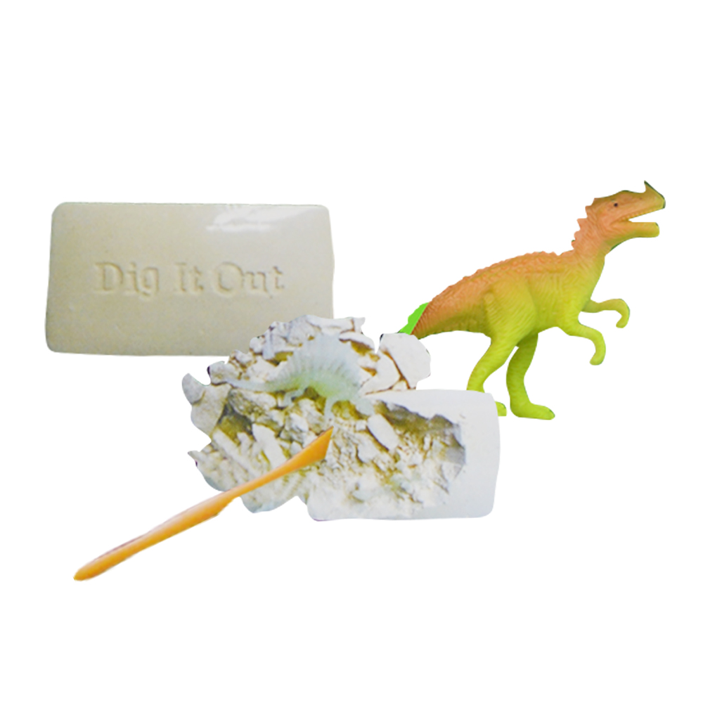 12pcs Dinosaur Fossils in Display Box