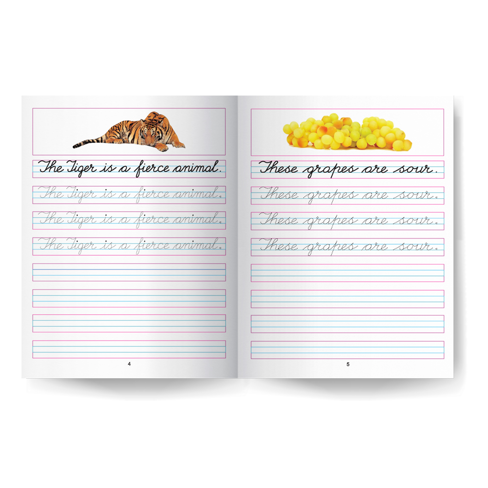 Cursive Writing Book (Sentences) Part 5